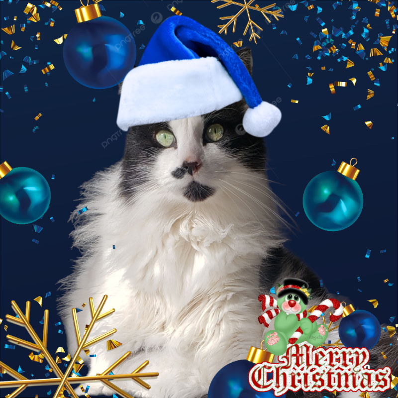 Yerry of the moka1961 family