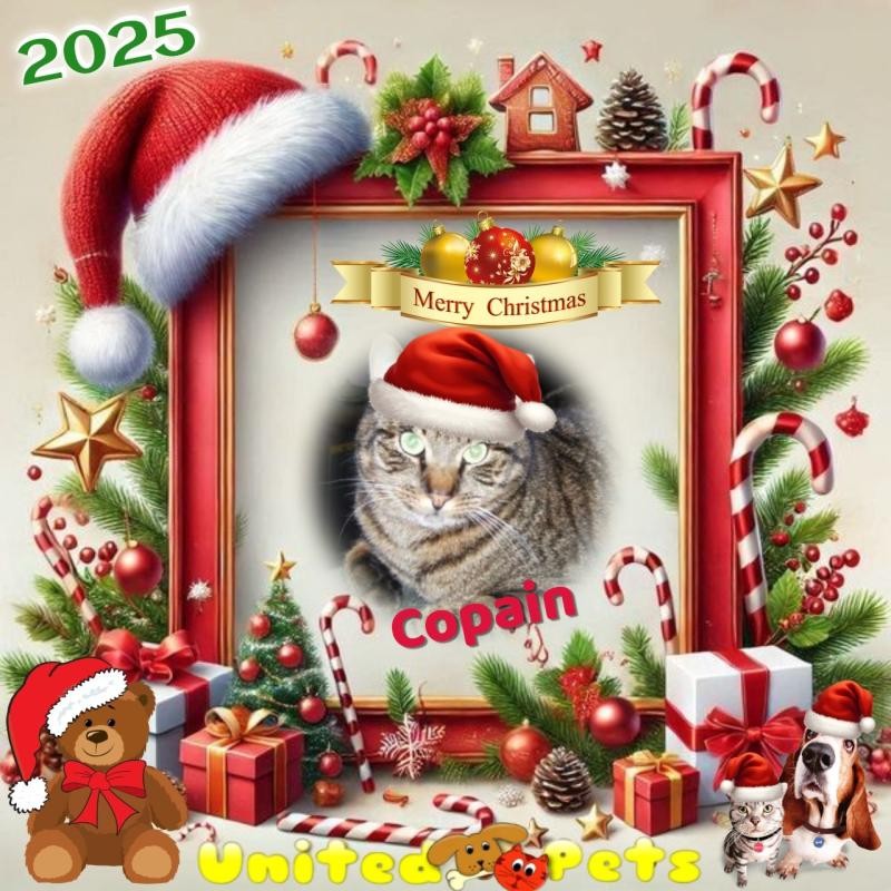 Copain of the nyssen family