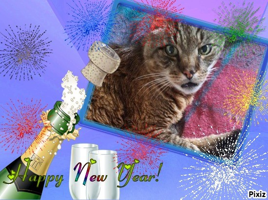 Copain of the nyssen family