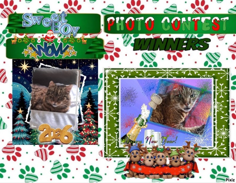 Copain of the nyssen family