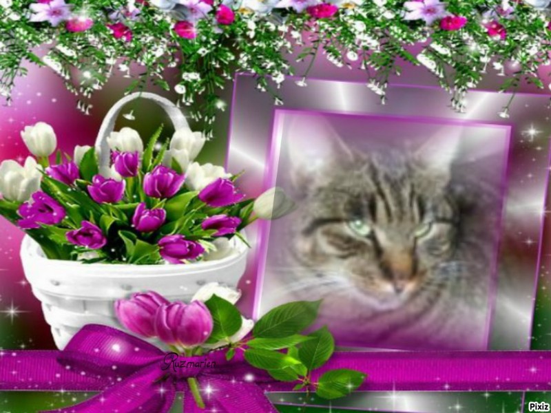 nyssen uploaded   51  day/s  ago