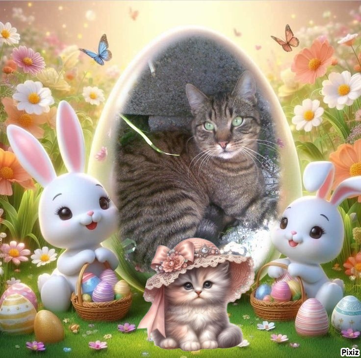 Copain of the nyssen family