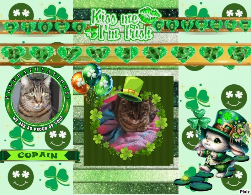 nyssen uploaded   30  day/s  ago