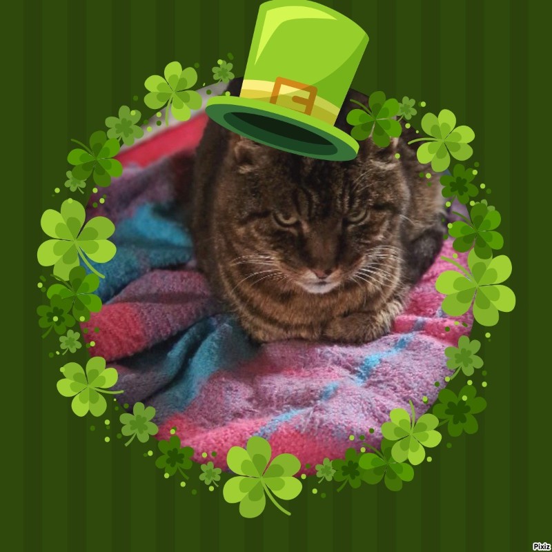 Copain of the nyssen family