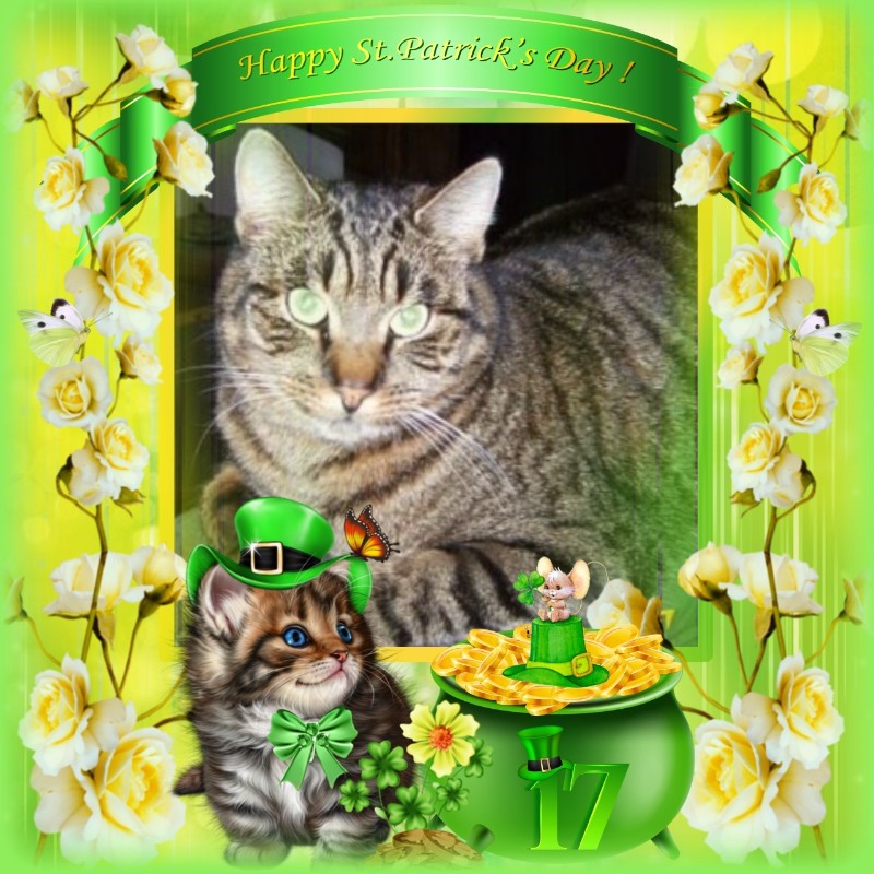 nyssen uploaded   32  day/s  ago