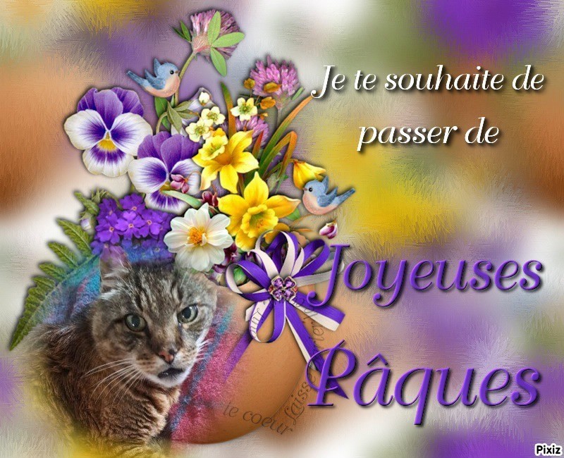 nyssen uploaded   24  day/s  ago