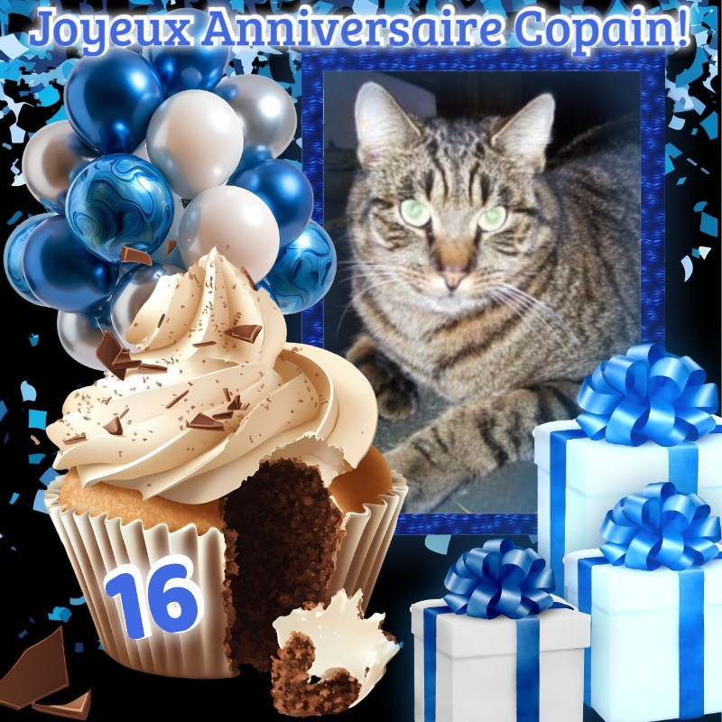 Copain of the nyssen family