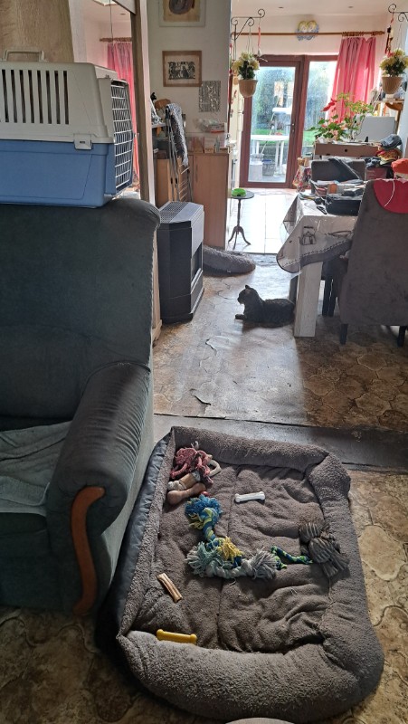 Copain of the nyssen family