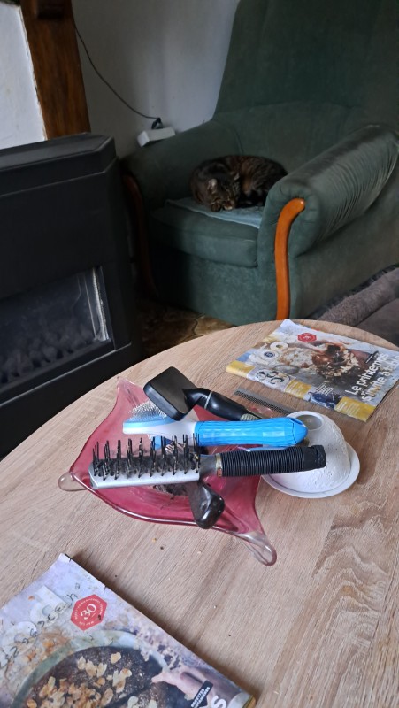 nyssen uploaded   1 year/s ago