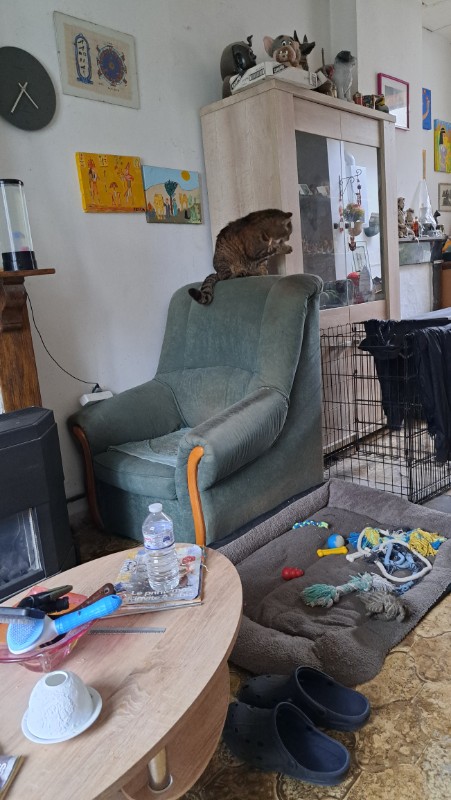 nyssen uploaded   338  day/s  ago