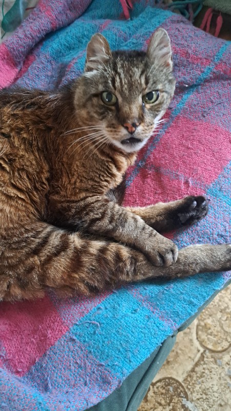 nyssen uploaded   227  day/s  ago