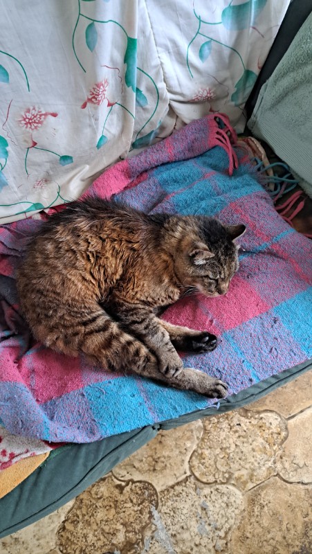 nyssen uploaded   227  day/s  ago