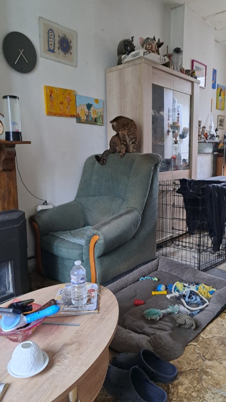 nyssen uploaded   338  day/s  ago