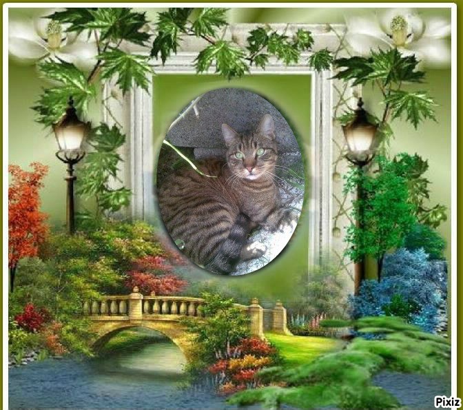 nyssen uploaded   21  day/s  ago