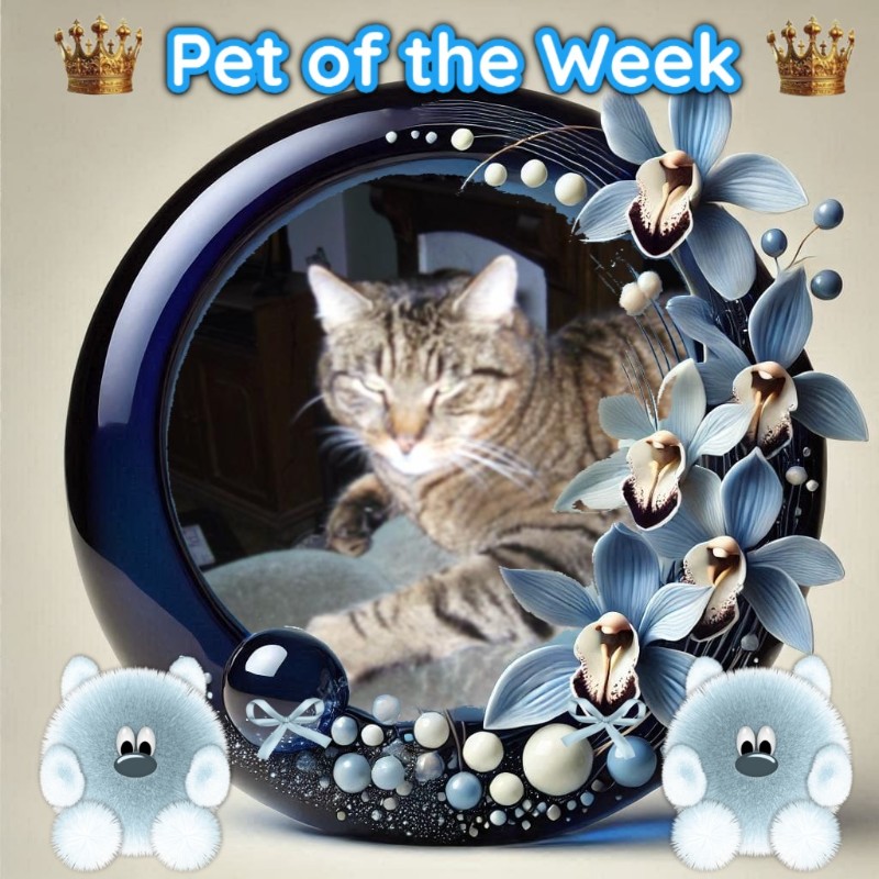 nyssen uploaded   20  day/s  ago