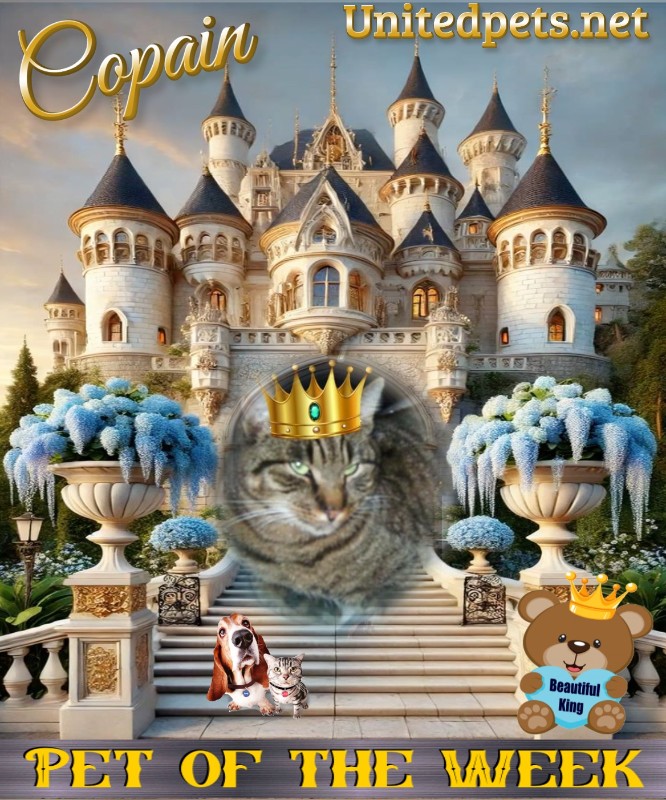 nyssen uploaded   19  day/s  ago