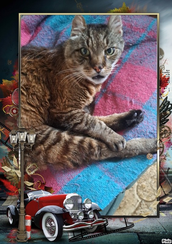 nyssen uploaded   16  day/s  ago