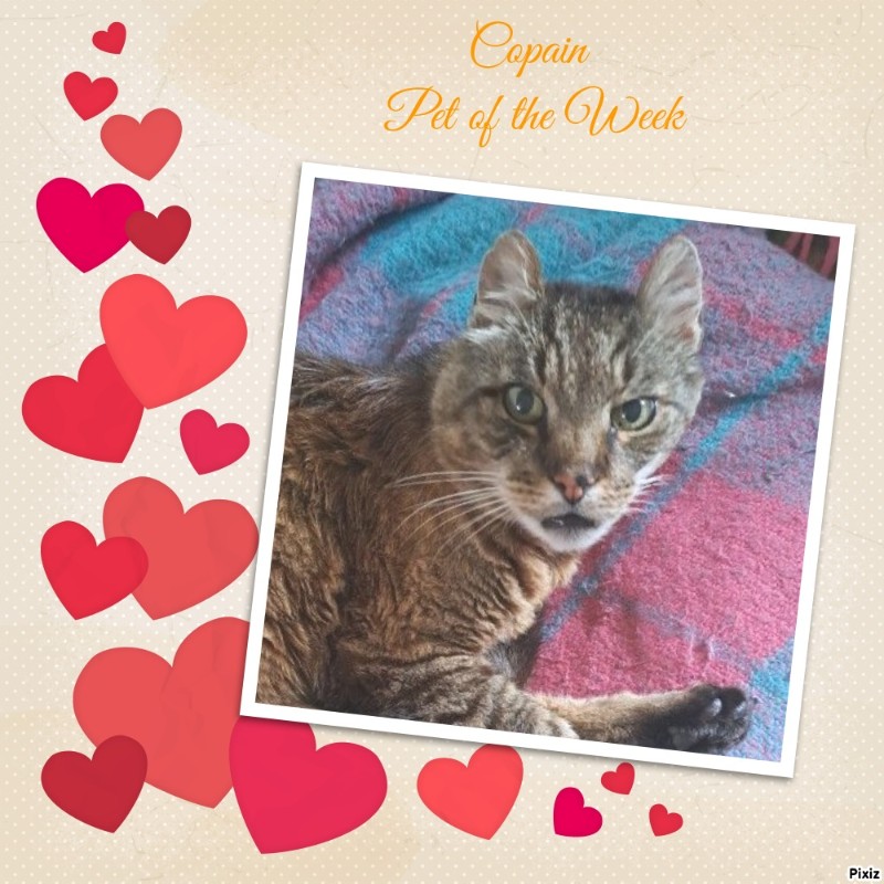 nyssen uploaded   19  day/s  ago