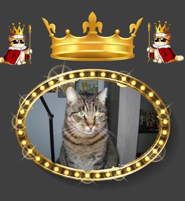 nyssen uploaded   21  day/s  ago