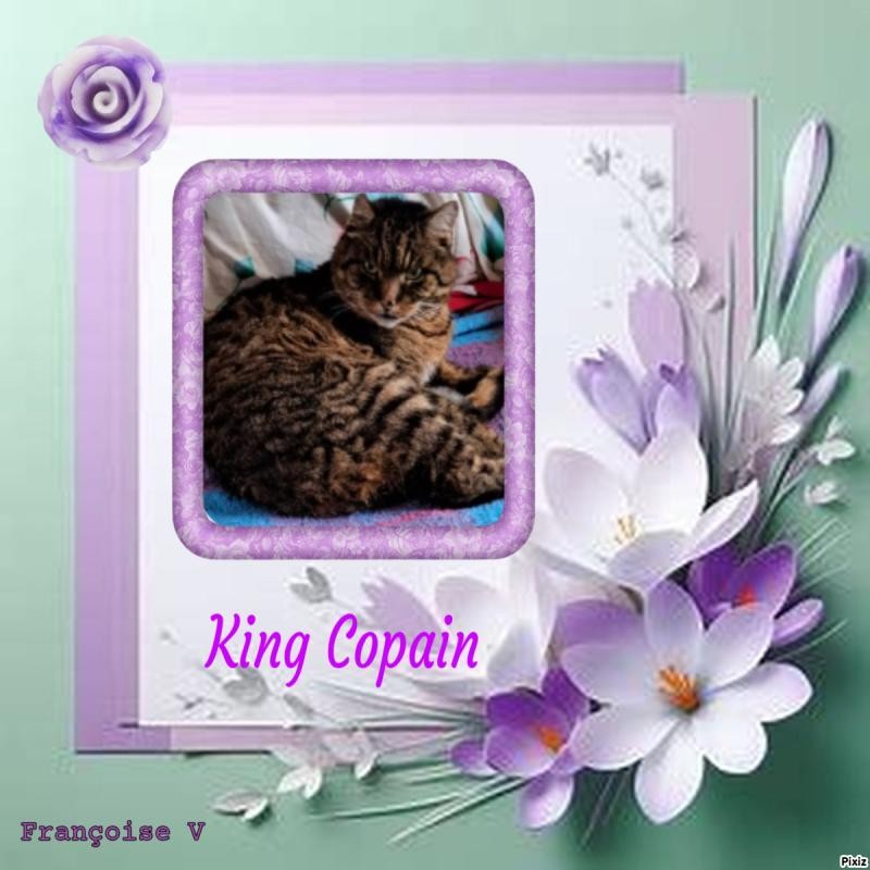 Copain of the nyssen family