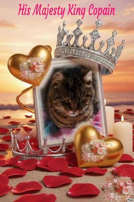 Copain of the nyssen family