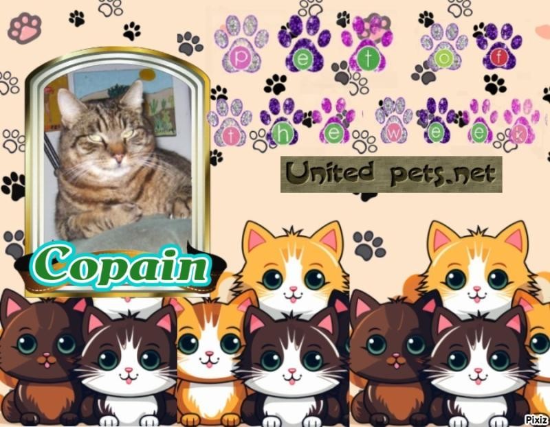 nyssen uploaded   21  day/s  ago