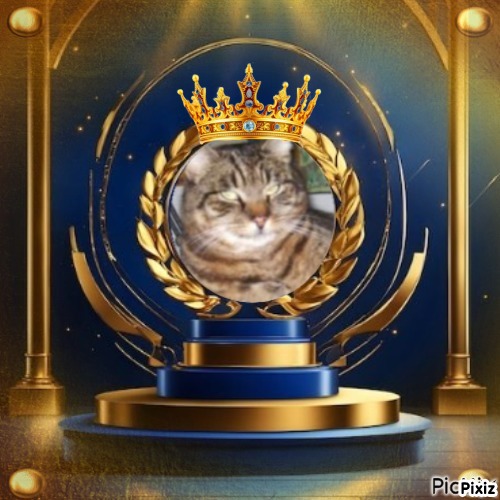 nyssen uploaded   19  day/s  ago