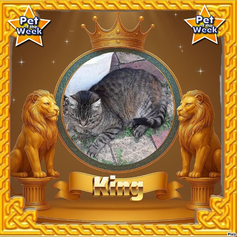 nyssen uploaded   16  day/s  ago