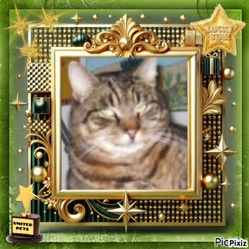 nyssen uploaded   19  day/s  ago