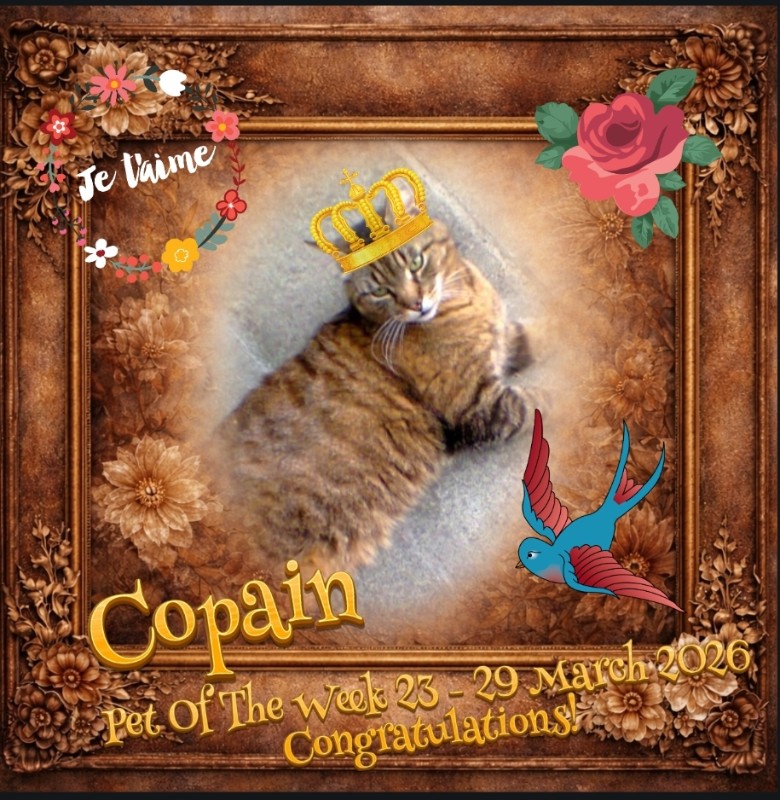 nyssen uploaded   18  day/s  ago