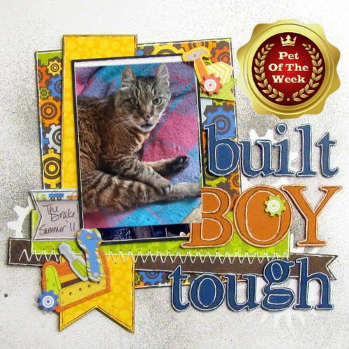 nyssen uploaded   18  day/s  ago