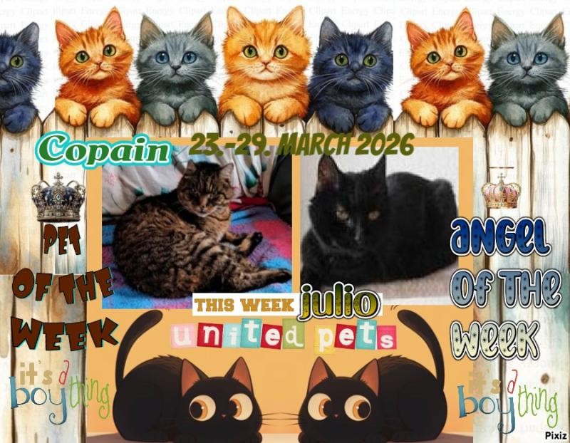 nyssen uploaded   21  day/s  ago