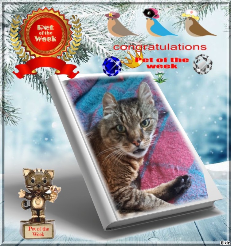 nyssen uploaded   16  day/s  ago