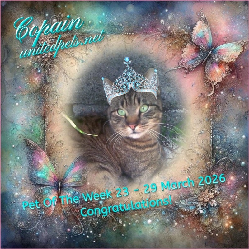 nyssen uploaded   18  day/s  ago