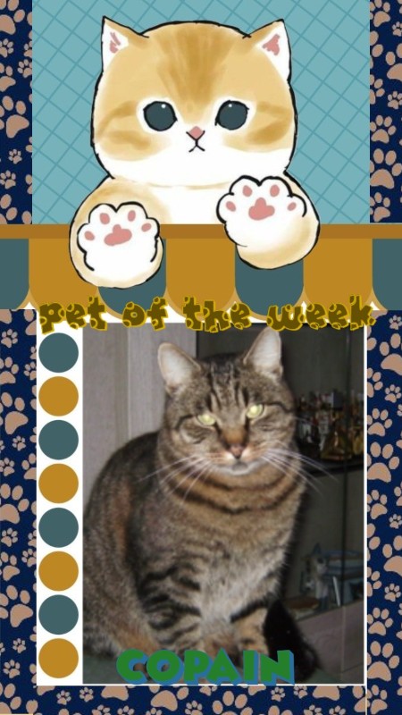 Copain of the nyssen family