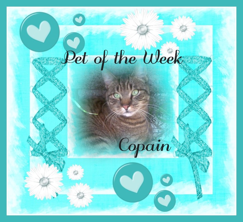 nyssen uploaded   17  day/s  ago