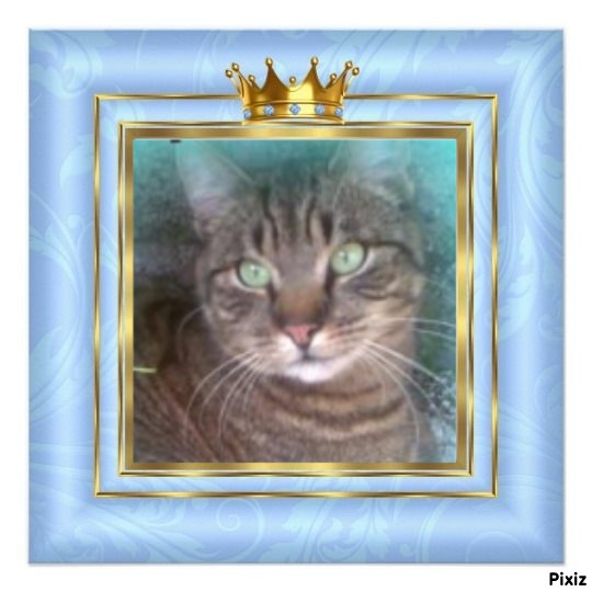 nyssen uploaded   17  day/s  ago