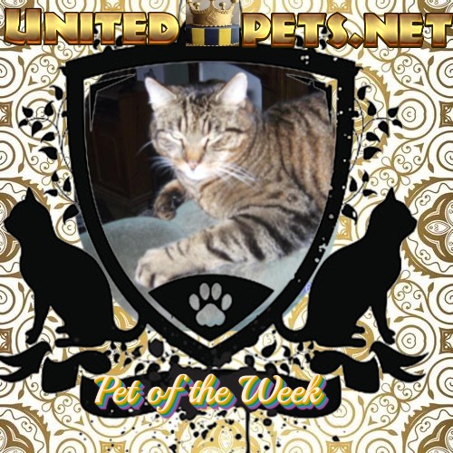 nyssen uploaded   16  day/s  ago