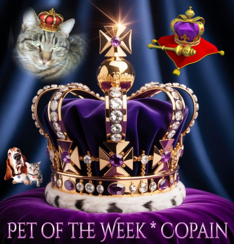 Copain of the nyssen family