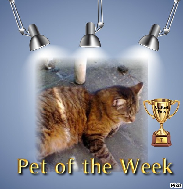 nyssen uploaded   16  day/s  ago