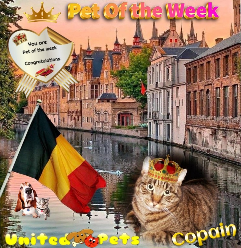 nyssen uploaded   16  day/s  ago