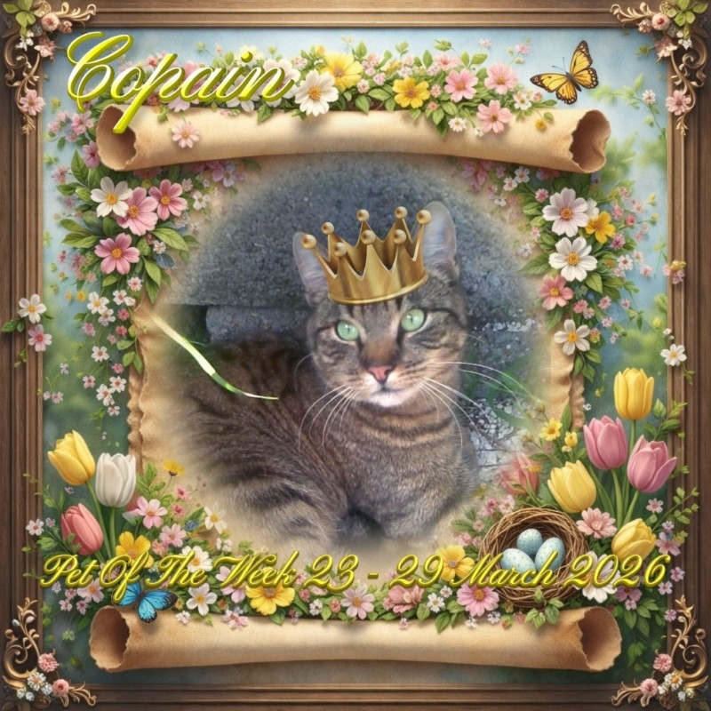 nyssen uploaded   18  day/s  ago