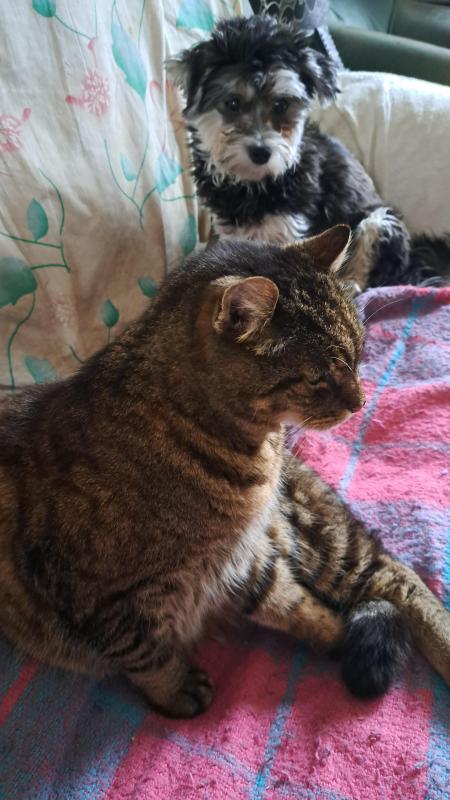 nyssen uploaded   1 year/s ago