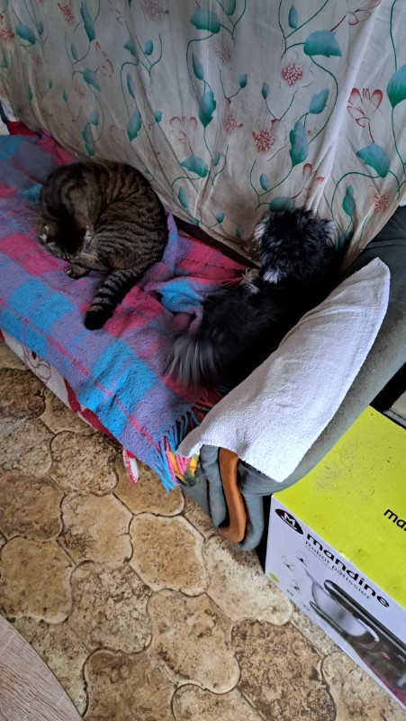 nyssen uploaded   1 year/s ago