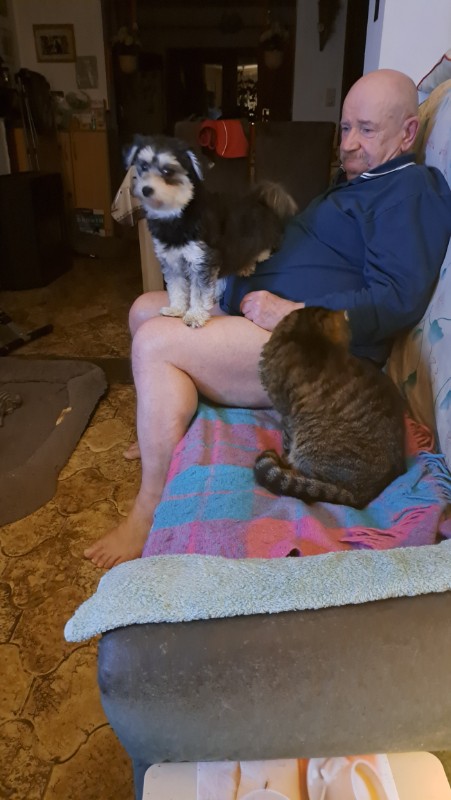 nyssen uploaded   32  day/s  ago