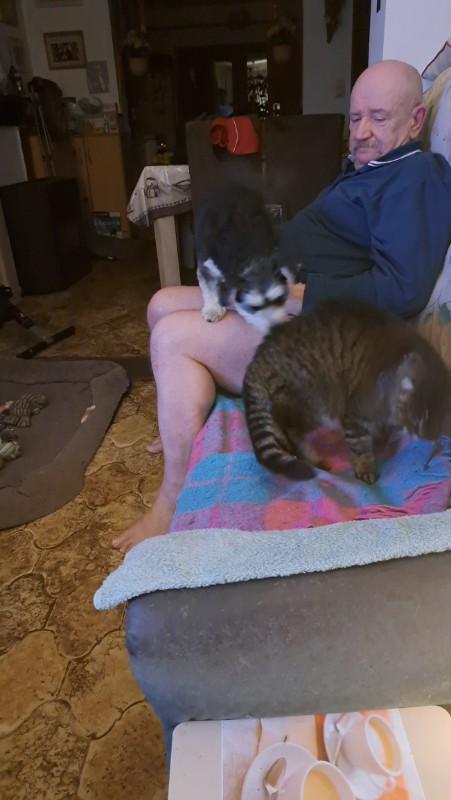 nyssen uploaded   32  day/s  ago