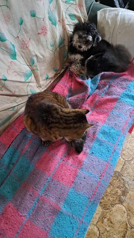 nyssen uploaded   1 year/s ago