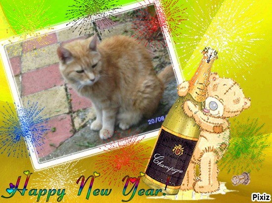 Bijou of the nyssen family