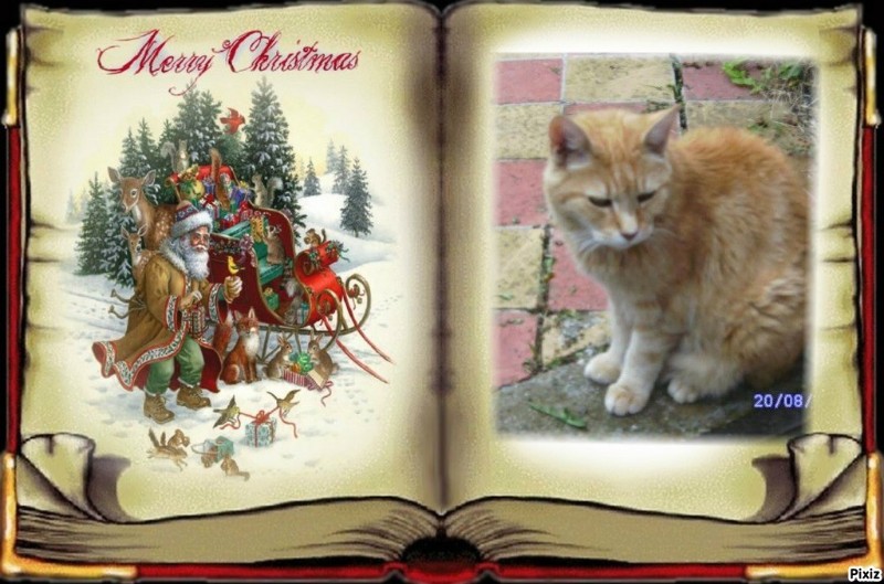 Bijou of the nyssen family