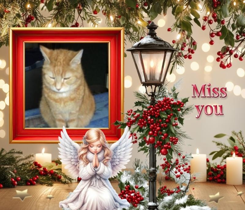 Bijou of the nyssen family